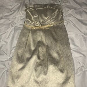 David’s Bridal Bridesmaid dress